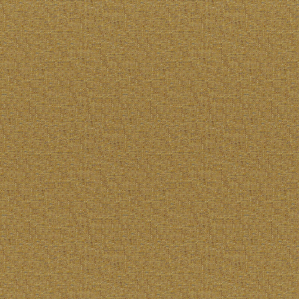 Eade’s # 532 DIJON