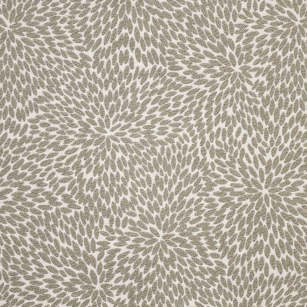 Eade’s # 912 DUSTY MILLER