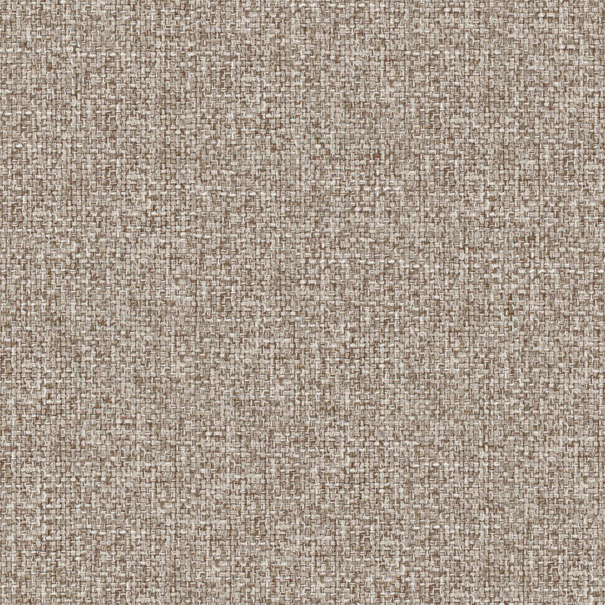 Eade’s # 928 TRUFFLE