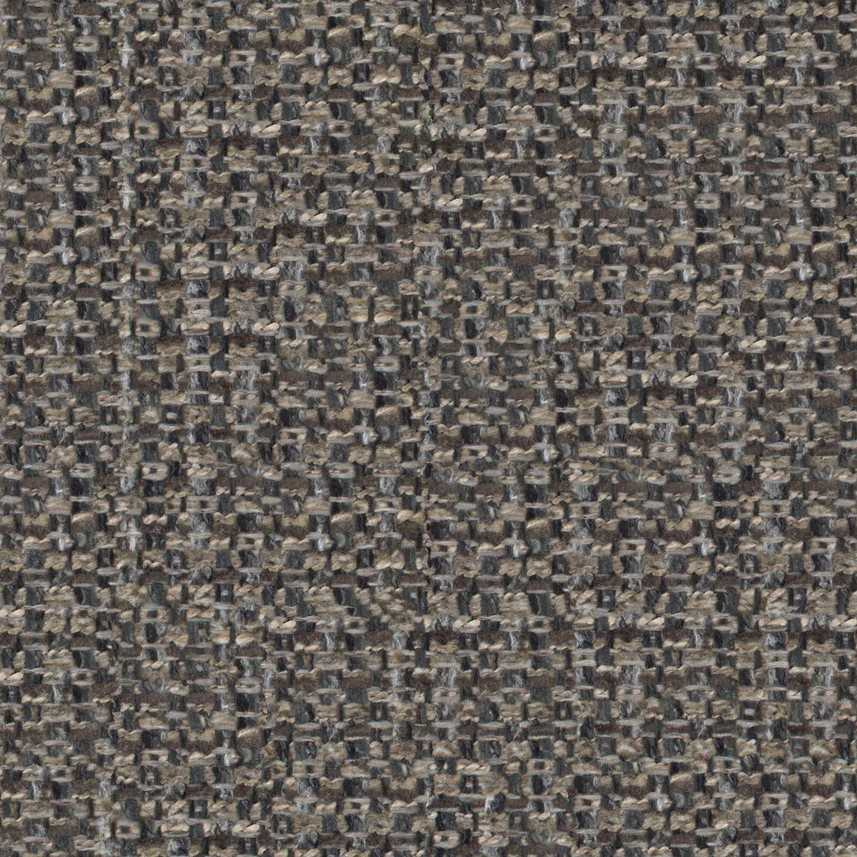 Eade’s # 307 FUNGI