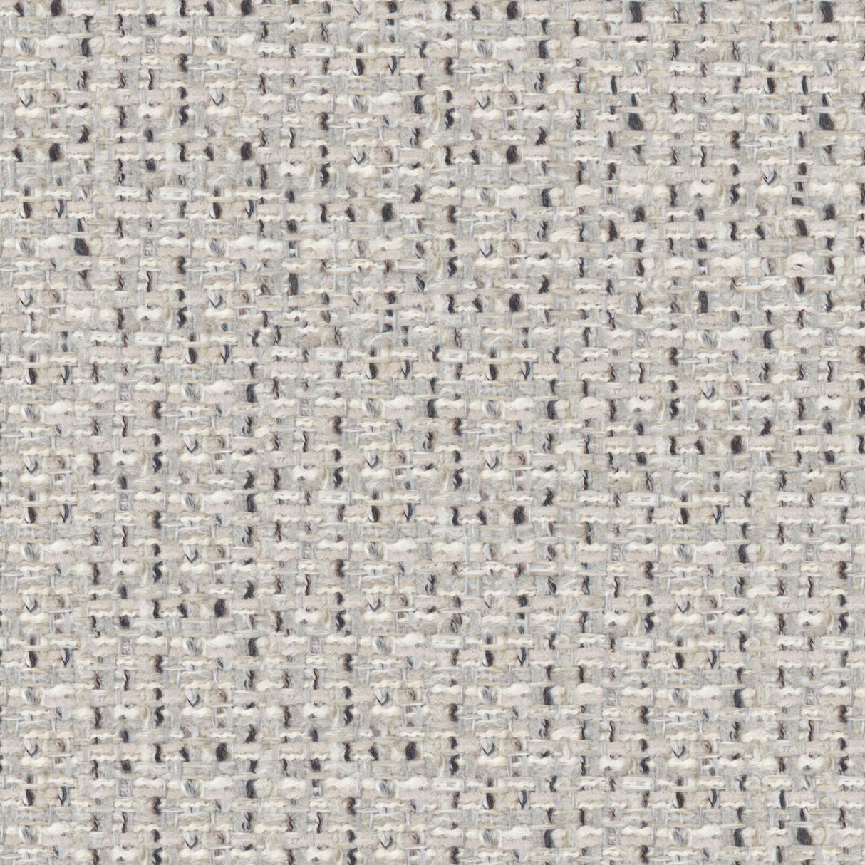 Eade’s # 325 KOALA