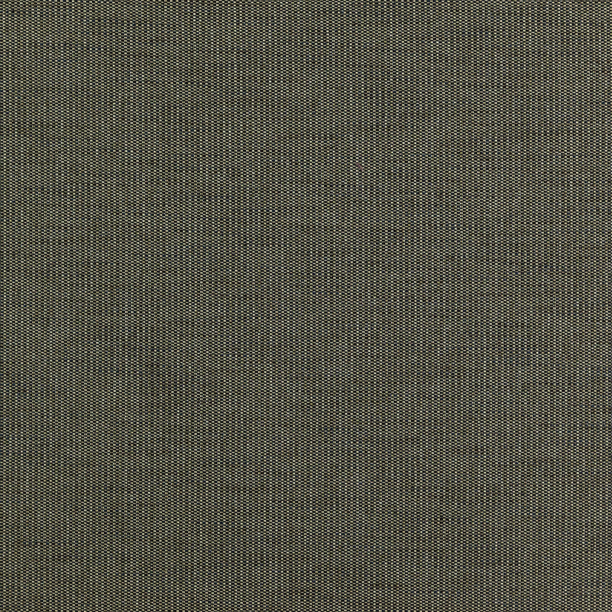 JF Fabrics 43-J7351 ROOKIE Fabric