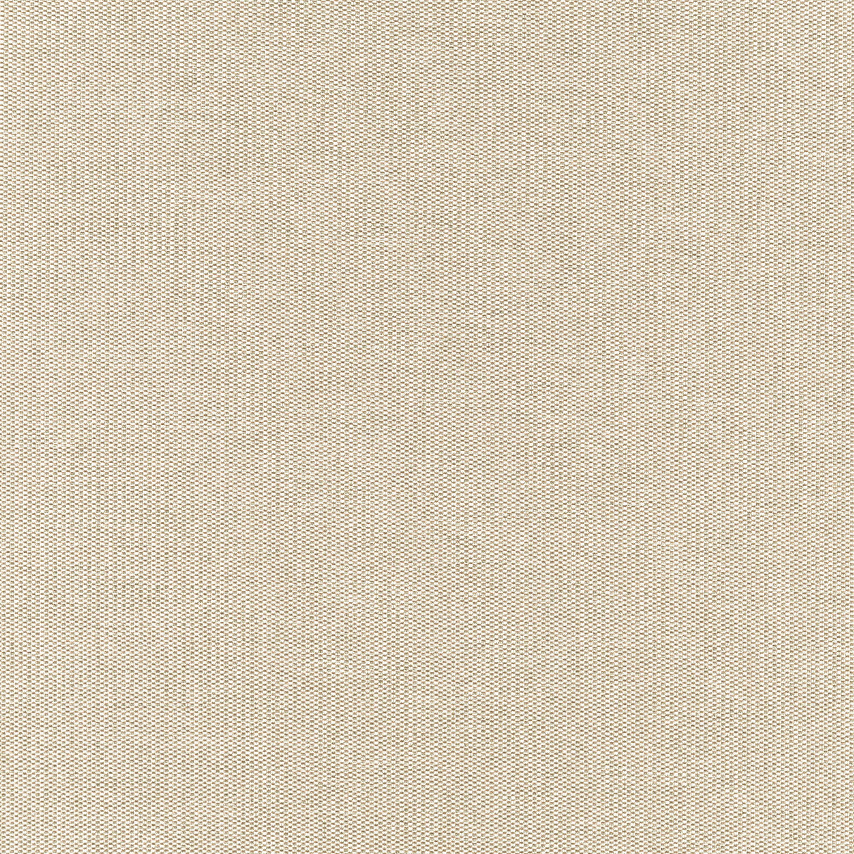 JF Fabrics 91-J7351 ROOKIE Fabric