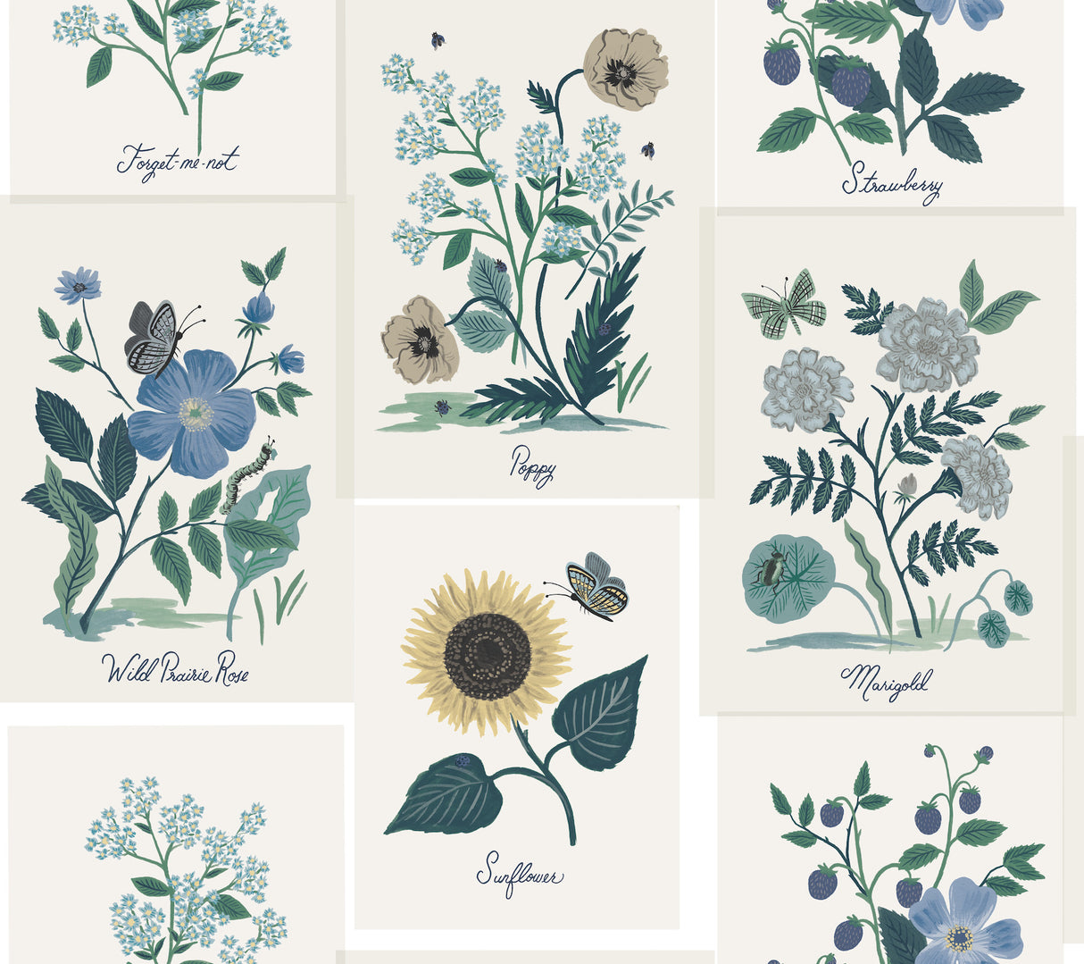 York RP7335 Botanical Prints White & Blue Wallpaper