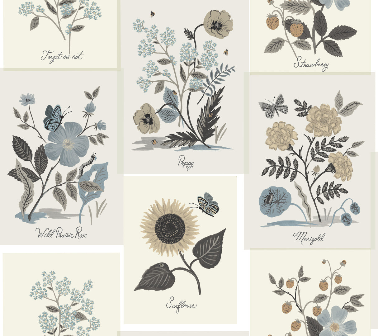 York RP7336 Botanical Prints Beige & Black Wallpaper
