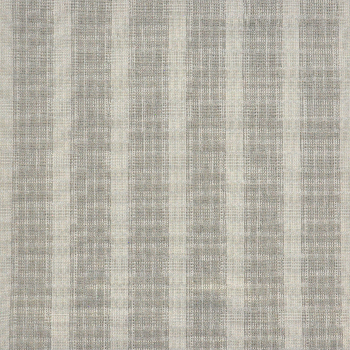 Eade’s # 851 SAND DOLLAR