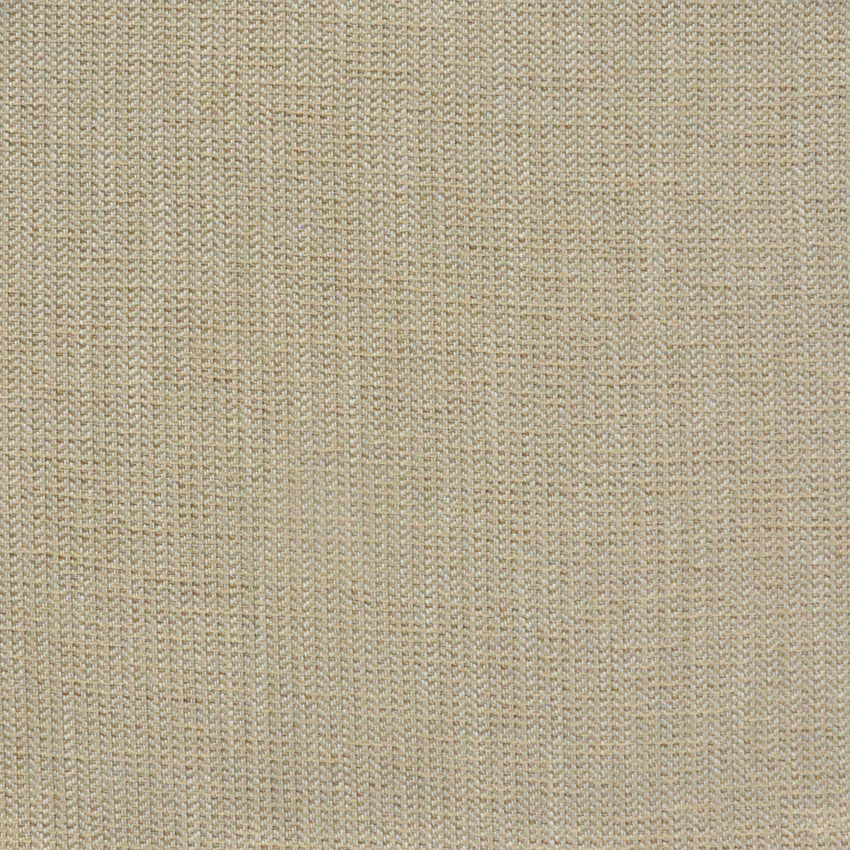 Eade’s # 830 BISCOTTI