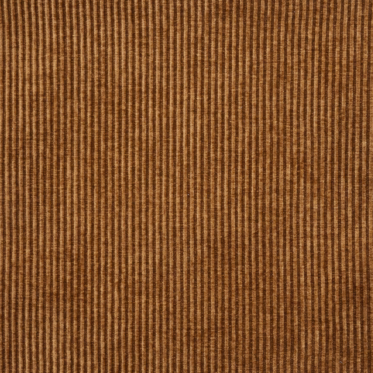 Eade’s # 842 ARBUTUS