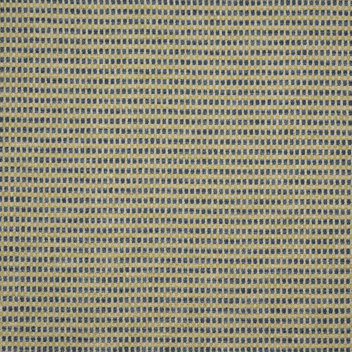 Eade’s # 912 OREGANO