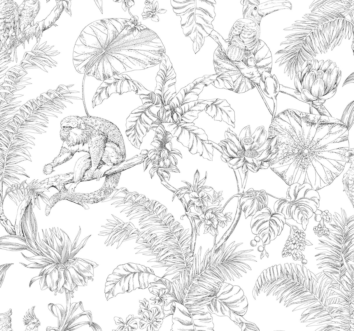 York RT7841 Tropical Sketch Toile Black Wallpaper