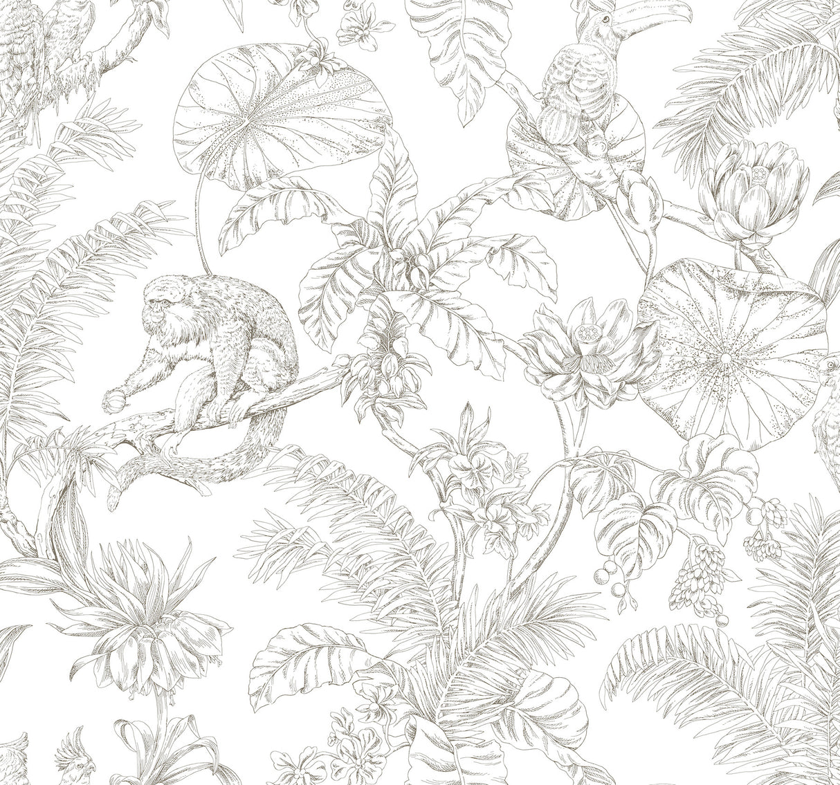 York RT7843 Tropical Sketch Toile Brown Wallpaper