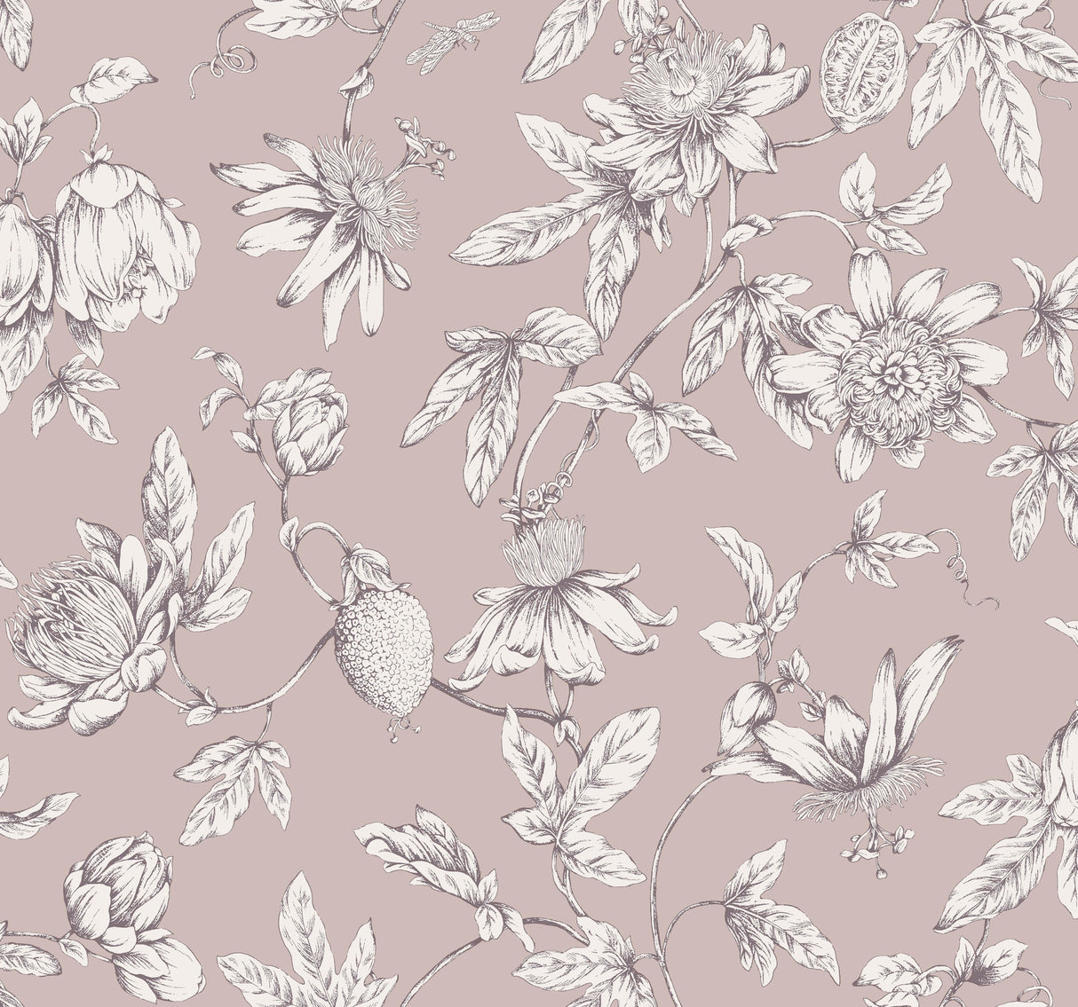 York RT7851 Passion Flower Toile Orchid Wallpaper