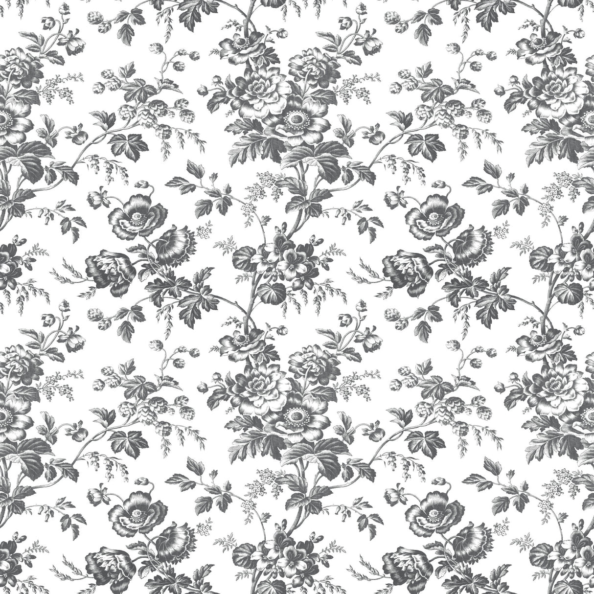 York RT7875 Anemone Toile Black Wallpaper