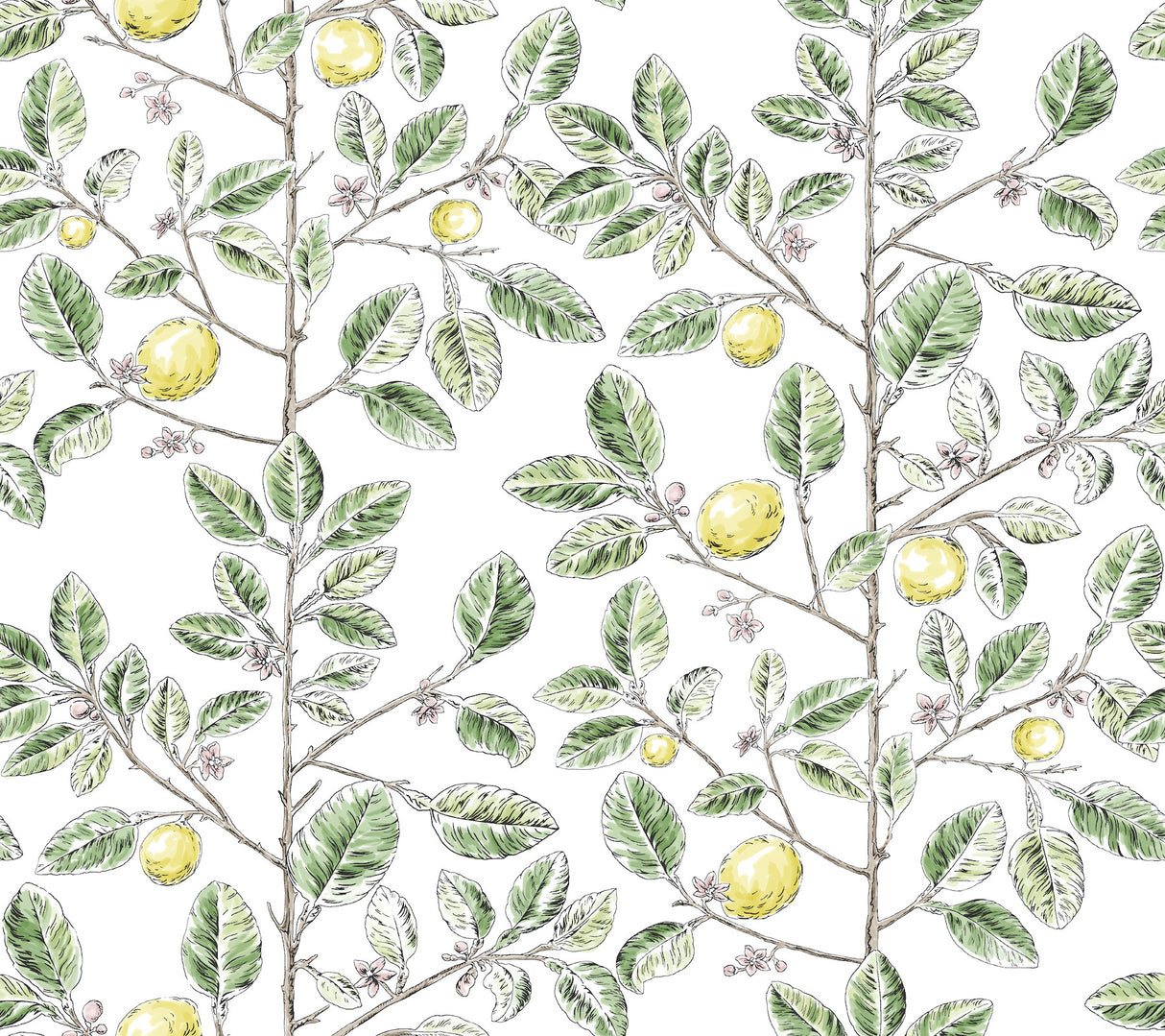 York RT7911 Limoncello Toile Green Wallpaper
