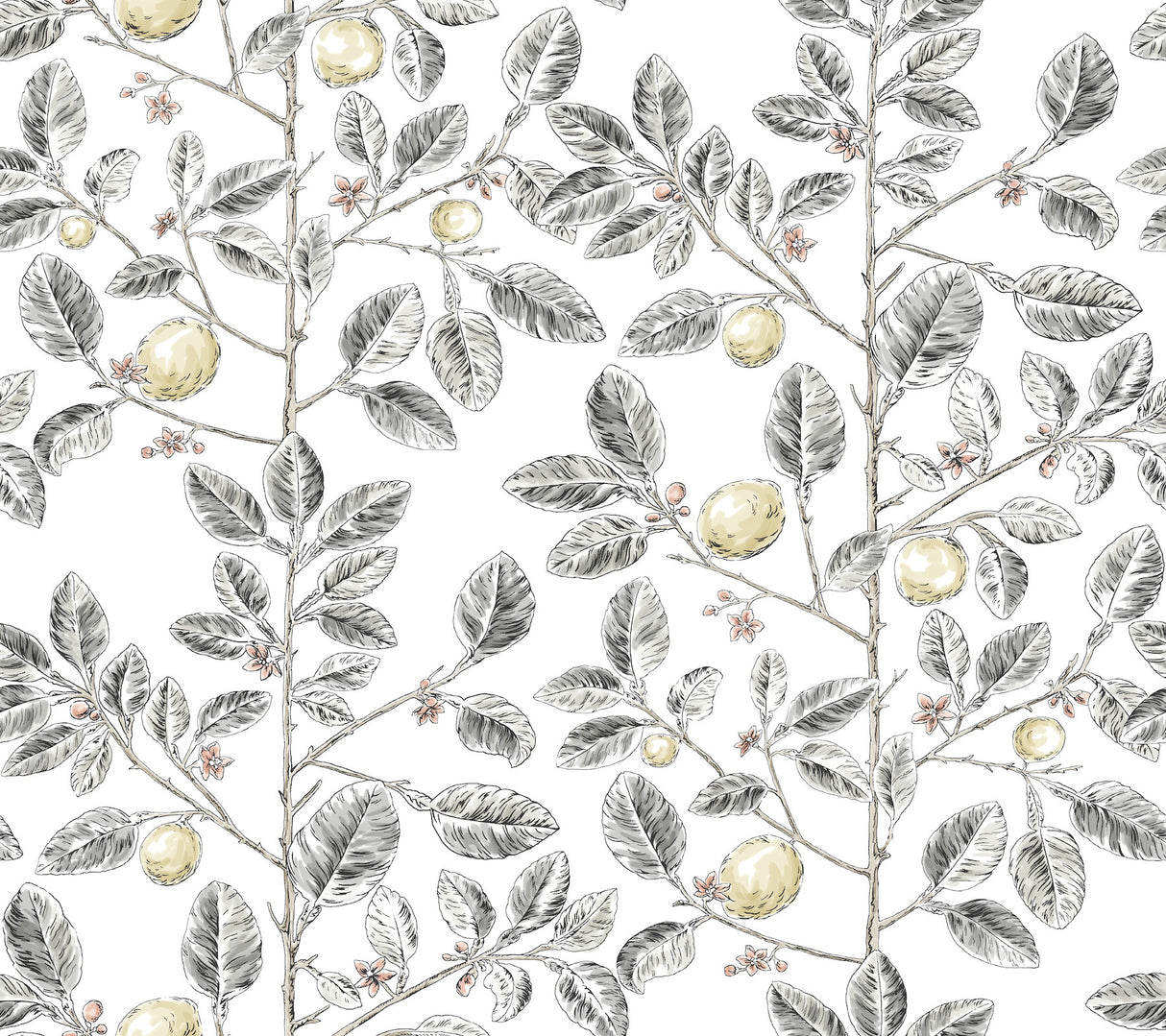 York RT7912 Limoncello Toile Black Wallpaper