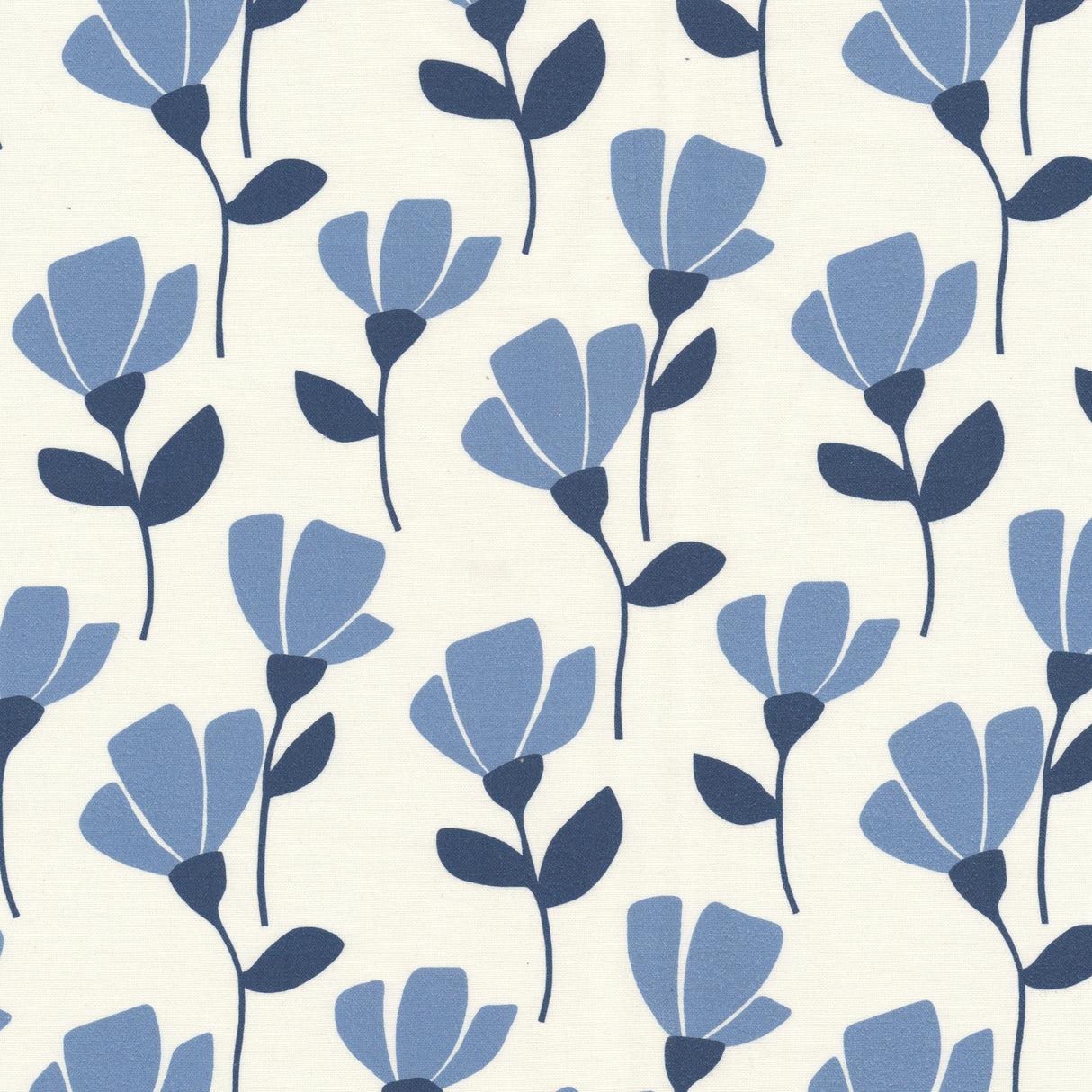 Eade's RUDO-1-sample DENIM