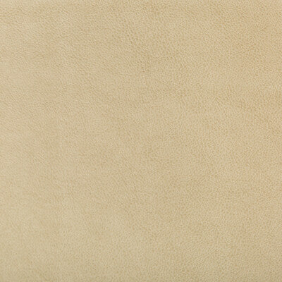 KRAVET DESIGN RUFFIAN.16.0 KRAVET DESIGN RUFFIAN-16 Fabric - Eade's Wallpaper