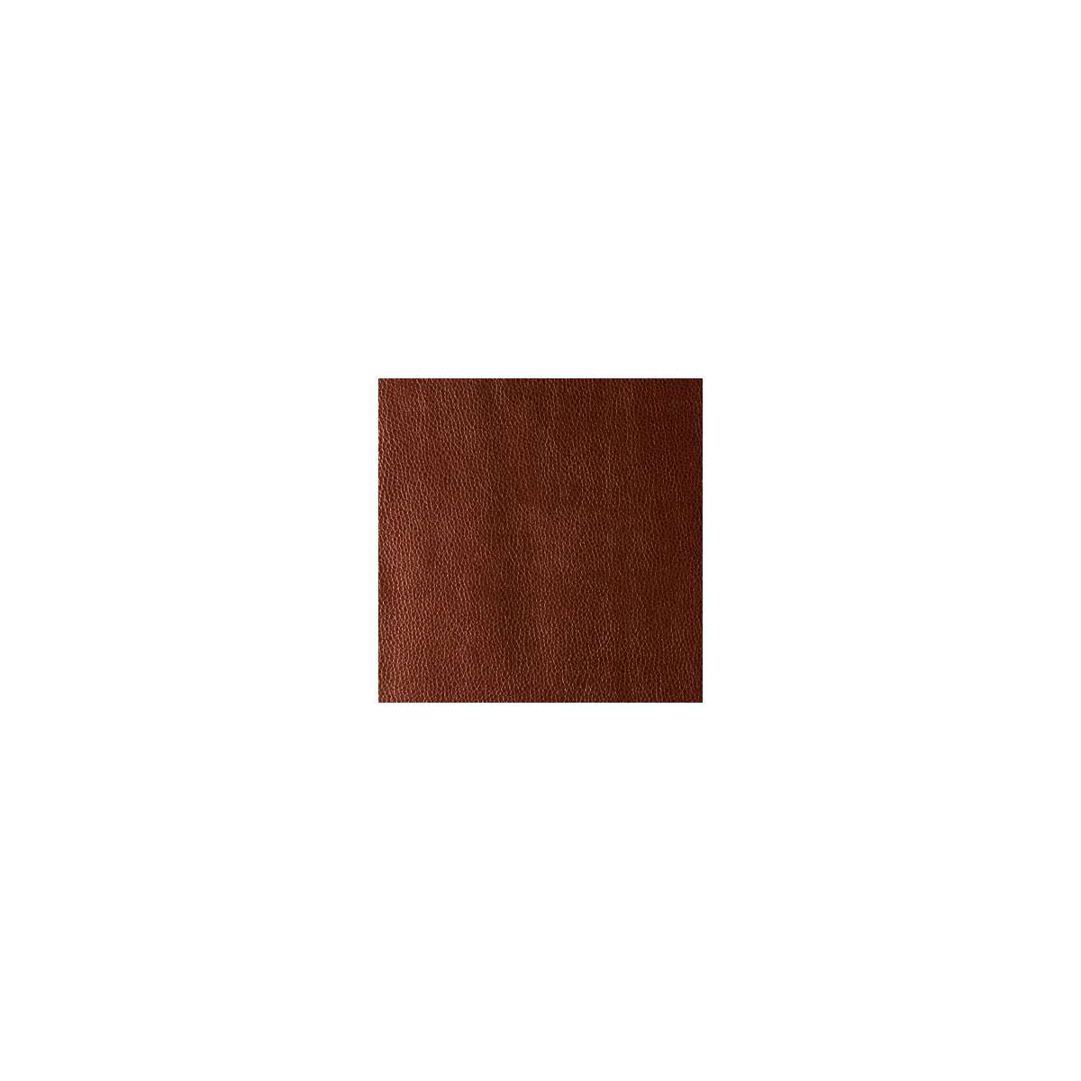 KRAVET CONTRACT RUMORS.24.0 RUMORS CINNAMON Fabric - Eade's Wallpaper