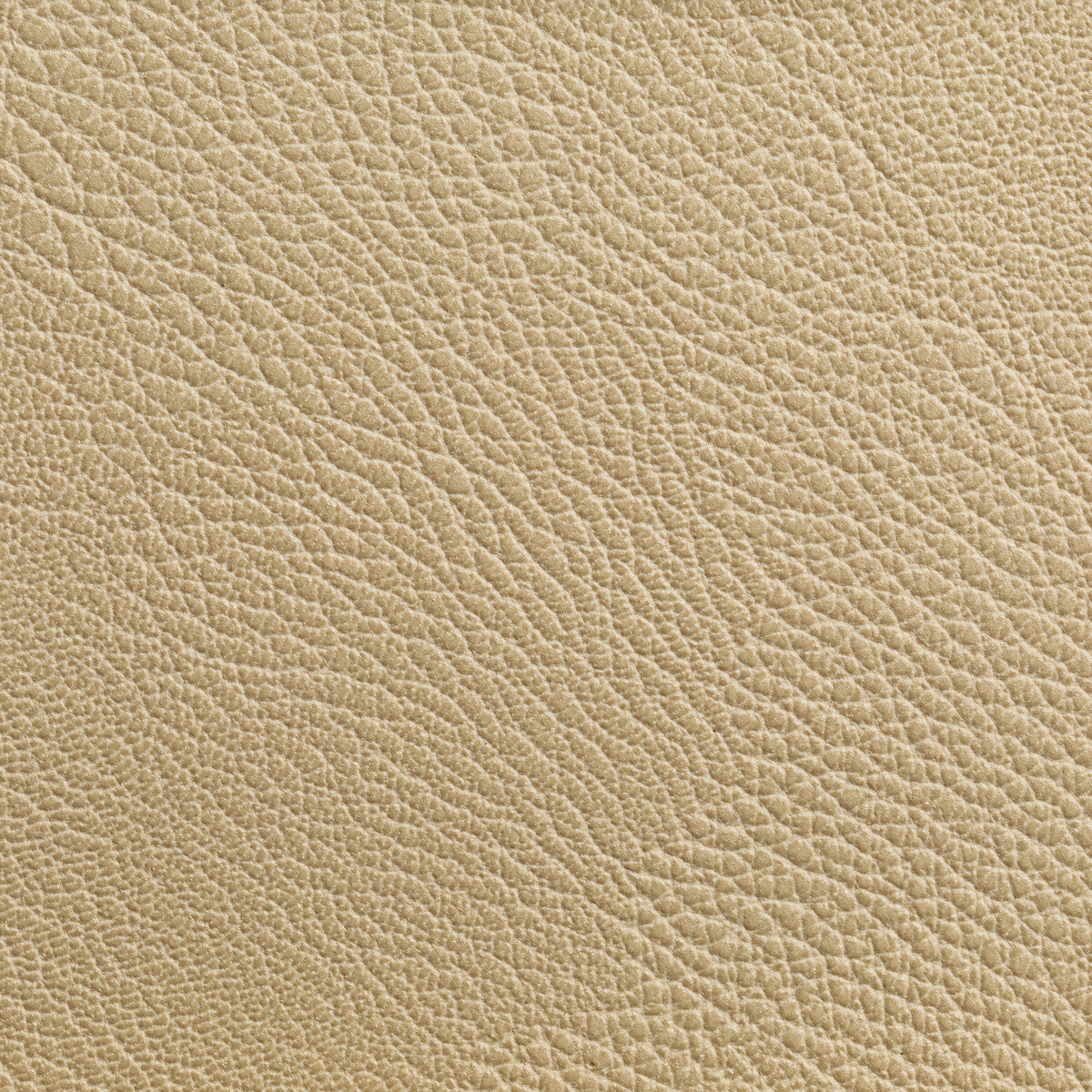 KRAVET CONTRACT RUSTLER.116.0 RUSTLER WHEAT Fabric - Eade's Wallpaper