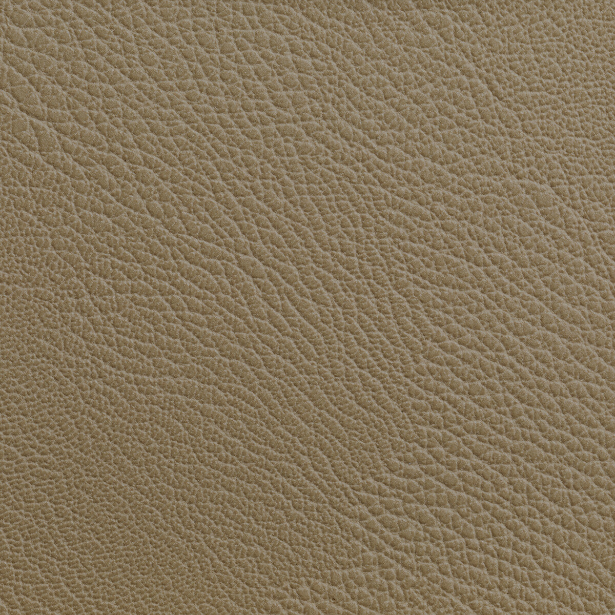 KRAVET CONTRACT RUSTLER.16.0 RUSTLER CASHEW Fabric - Eade's Wallpaper