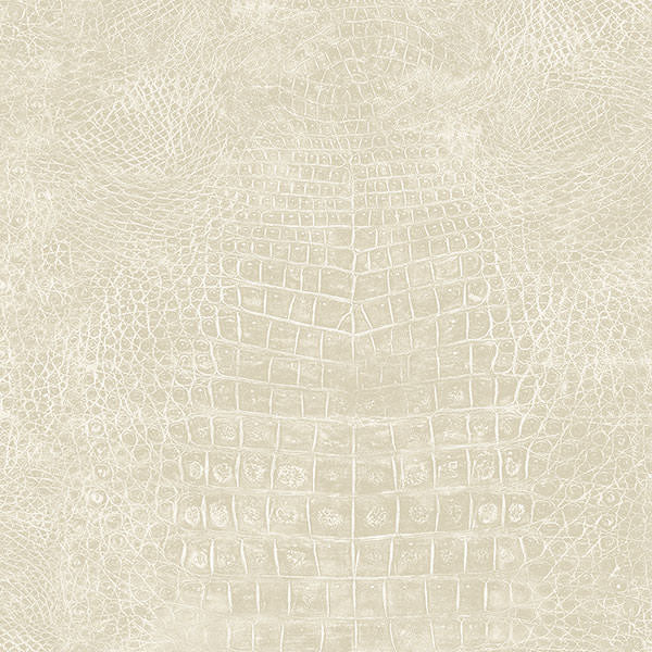 Patton / Norwall NFX G67504 Texture