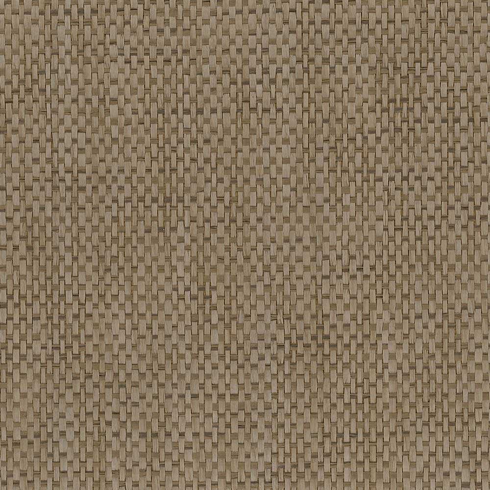 Patton / Norwall DG 488-424 Grasscloth