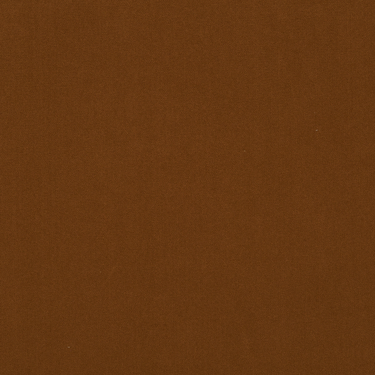 Crypton Home 34-J7191 SALUTE Fabric