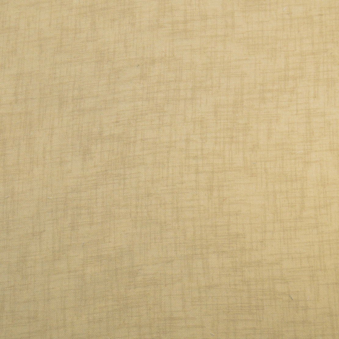 Eade’s SANIBEL MINK MINK