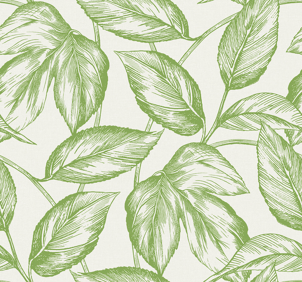 Seabrook Designs SC20004 Wallpaper - Eade's Wallpaper & Fabric