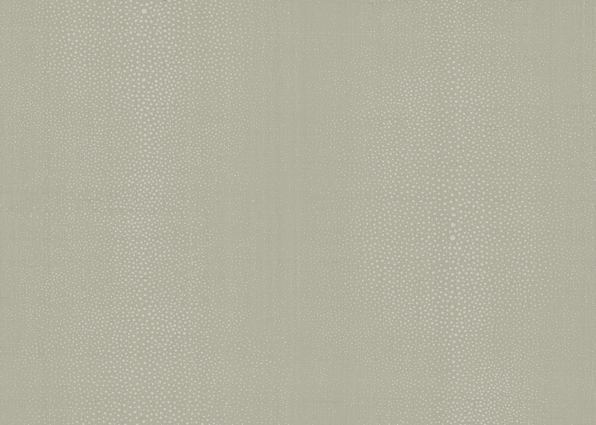Armani TURANDOT 9750 in Beige Mural