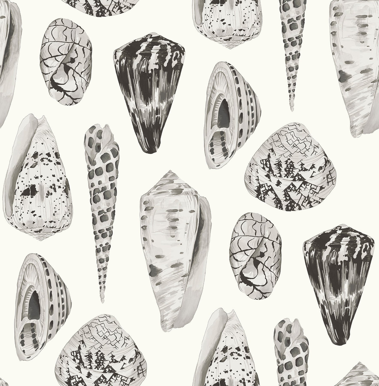 Scalamandre SCS3882 Graphite Coquina Scalamandre Self Adhesive Wallpaper