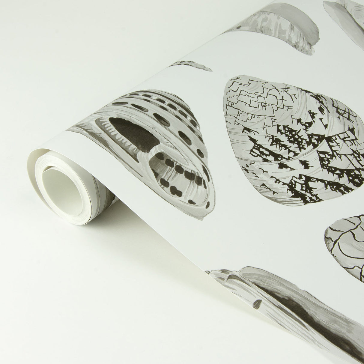 Scalamandre SCS3882 Graphite Coquina Scalamandre Self Adhesive Wallpaper