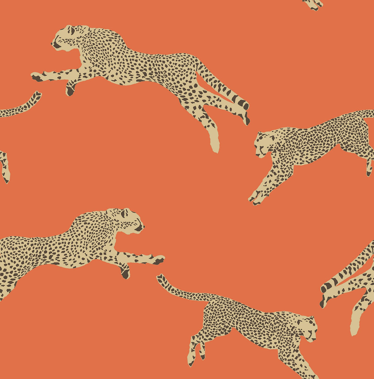 Scalamandre SCS4275 Clementine Leaping Cheetah Peel & Stick Wallpaper