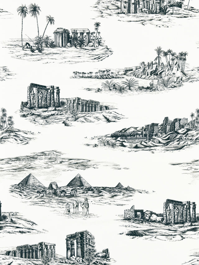 Scalamandre SC 000116635 INK CAIRO TOILE Fabric - Eade's Wallpaper