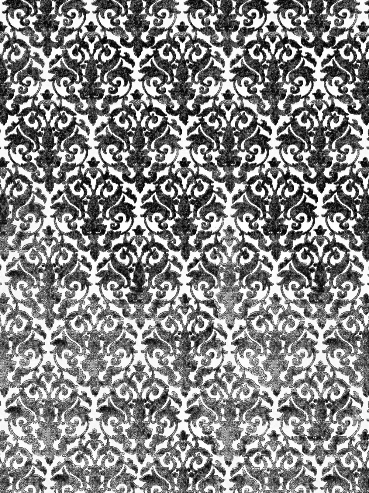 Scalamandre SC 000127078 CHAMPAGNE VENEZIA SILK VELVET Fabric - Eade's Wallpaper