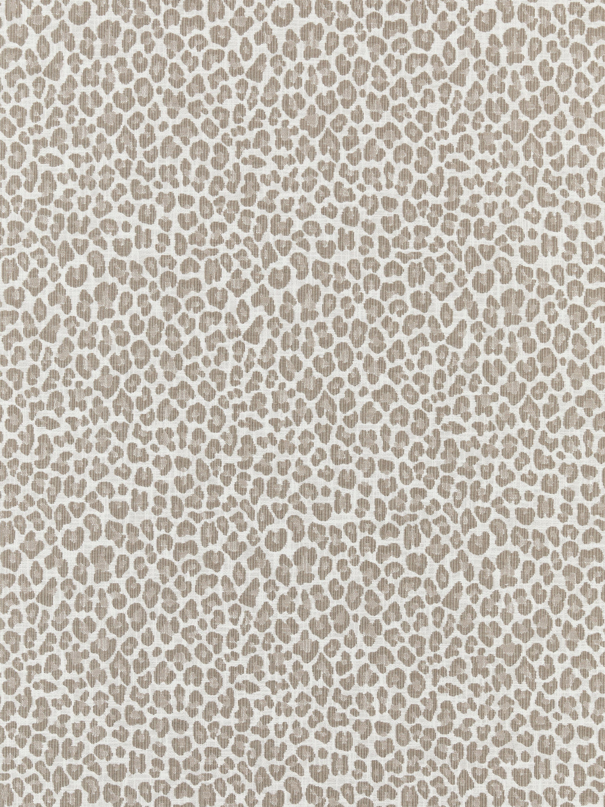 Scalamandre SC 000127316 LIMESTONE BACKYARD BENGAL Fabric - Eade's Wallpaper