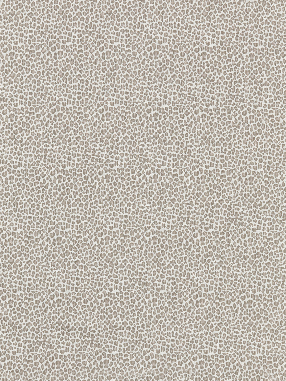 Scalamandre SC 000127316 LIMESTONE BACKYARD BENGAL Fabric - Eade's Wallpaper