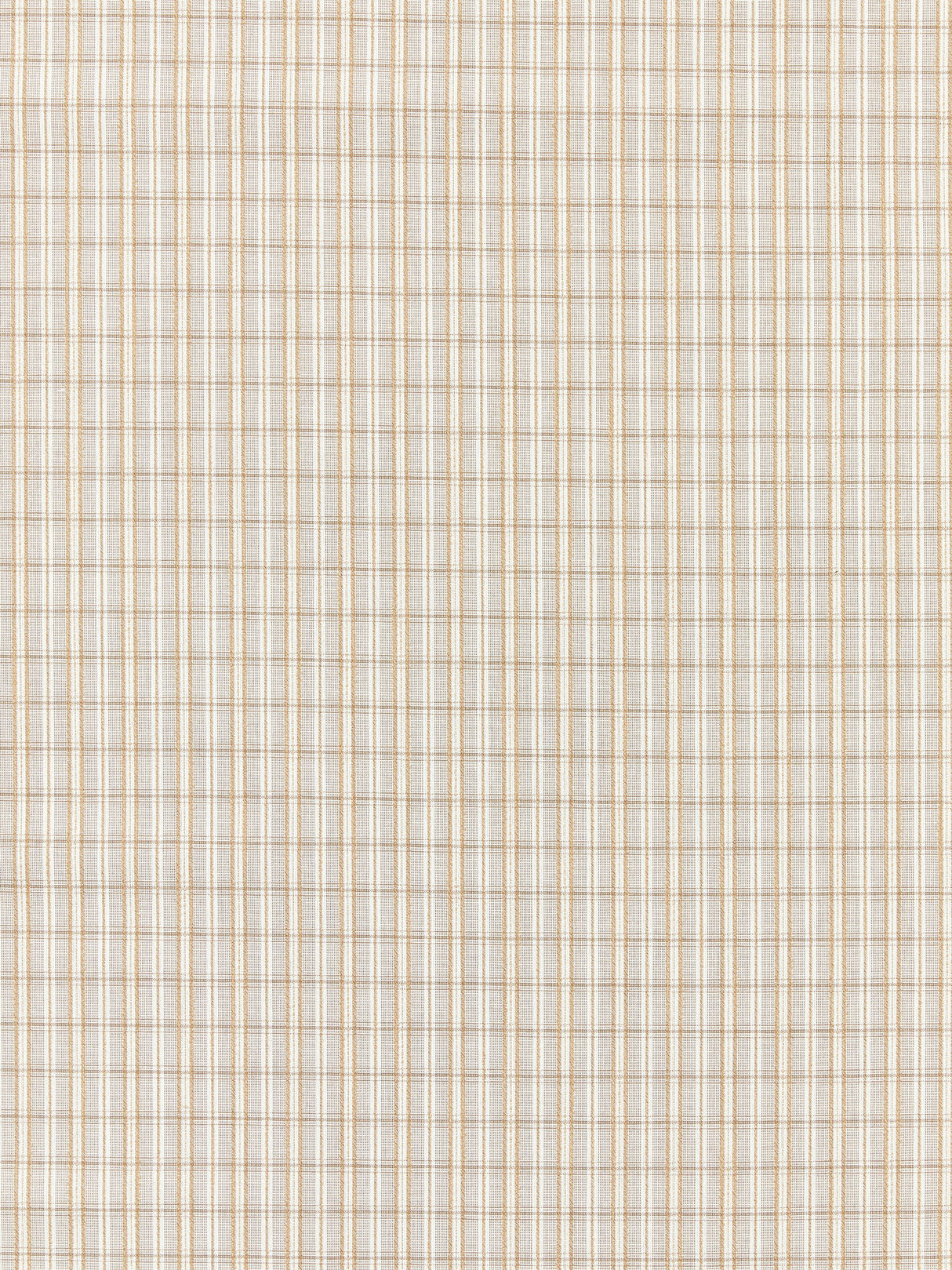 Scalamandre SC 000127318 BIRCH CHECK PLEASE - OUTDOOR Fabric - Eade's Wallpaper