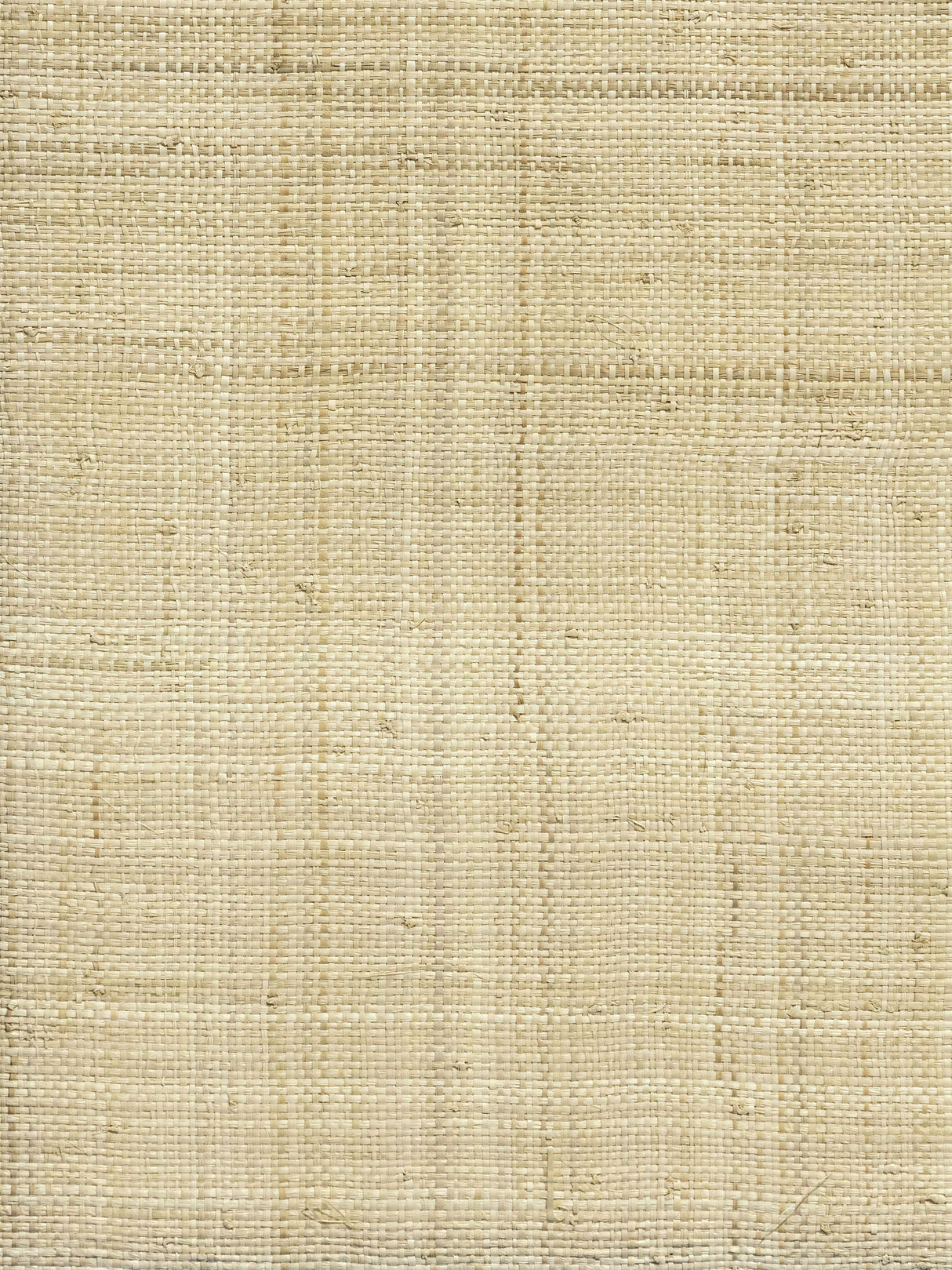 Scalamandre SC 0001WP88568 VANILLA IMERINA - BLEACHED WALLPAPER - Eade's Wallpaper