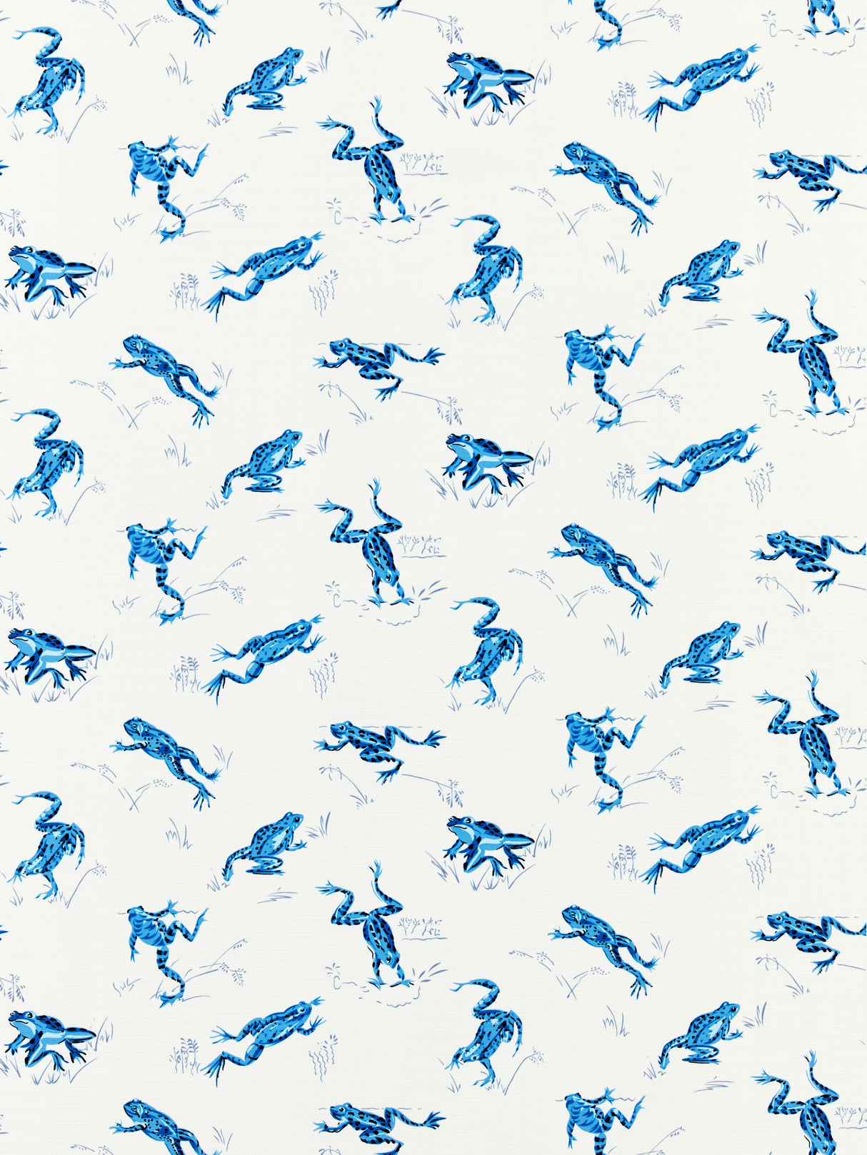 Scalamandre SC 000216426M CREEK CALABASAS COUNTY - OUTDOOR Fabric - Eade's Wallpaper