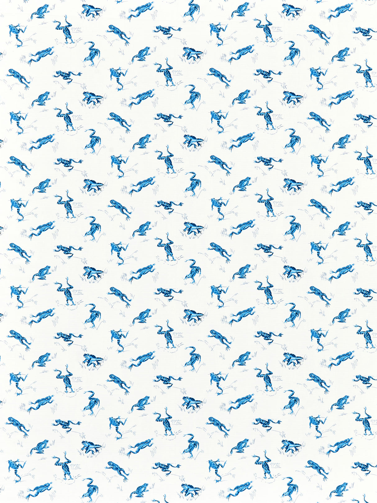 Scalamandre SC 000216426M CREEK CALABASAS COUNTY - OUTDOOR Fabric - Eade's Wallpaper