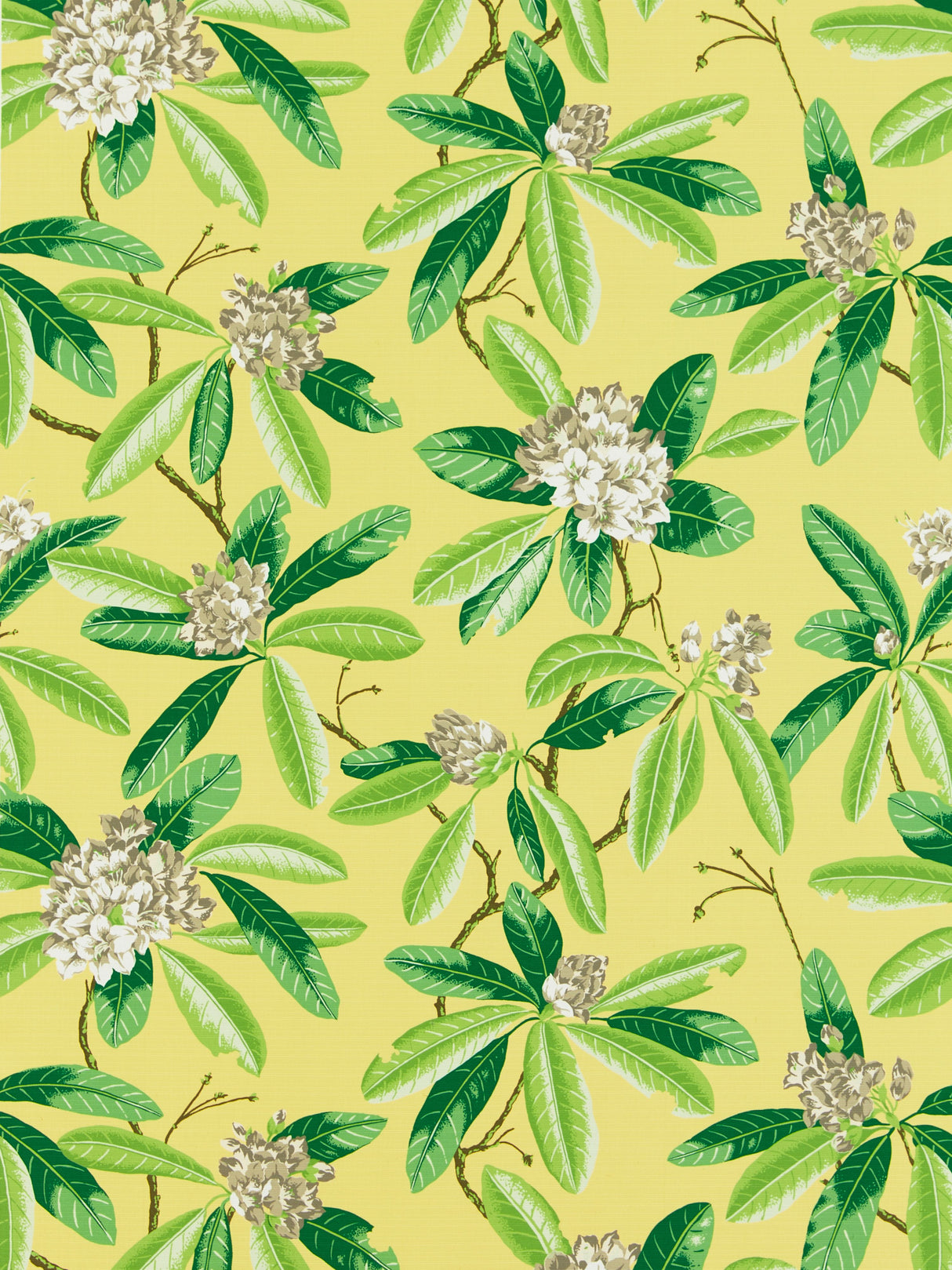 Scalamandre SC 000216454M PINEAPPLE RHODODENDRON - OUTDOOR Fabric - Eade's Wallpaper