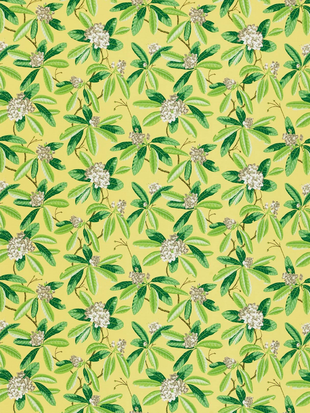 Scalamandre SC 000216454M PINEAPPLE RHODODENDRON - OUTDOOR Fabric - Eade's Wallpaper
