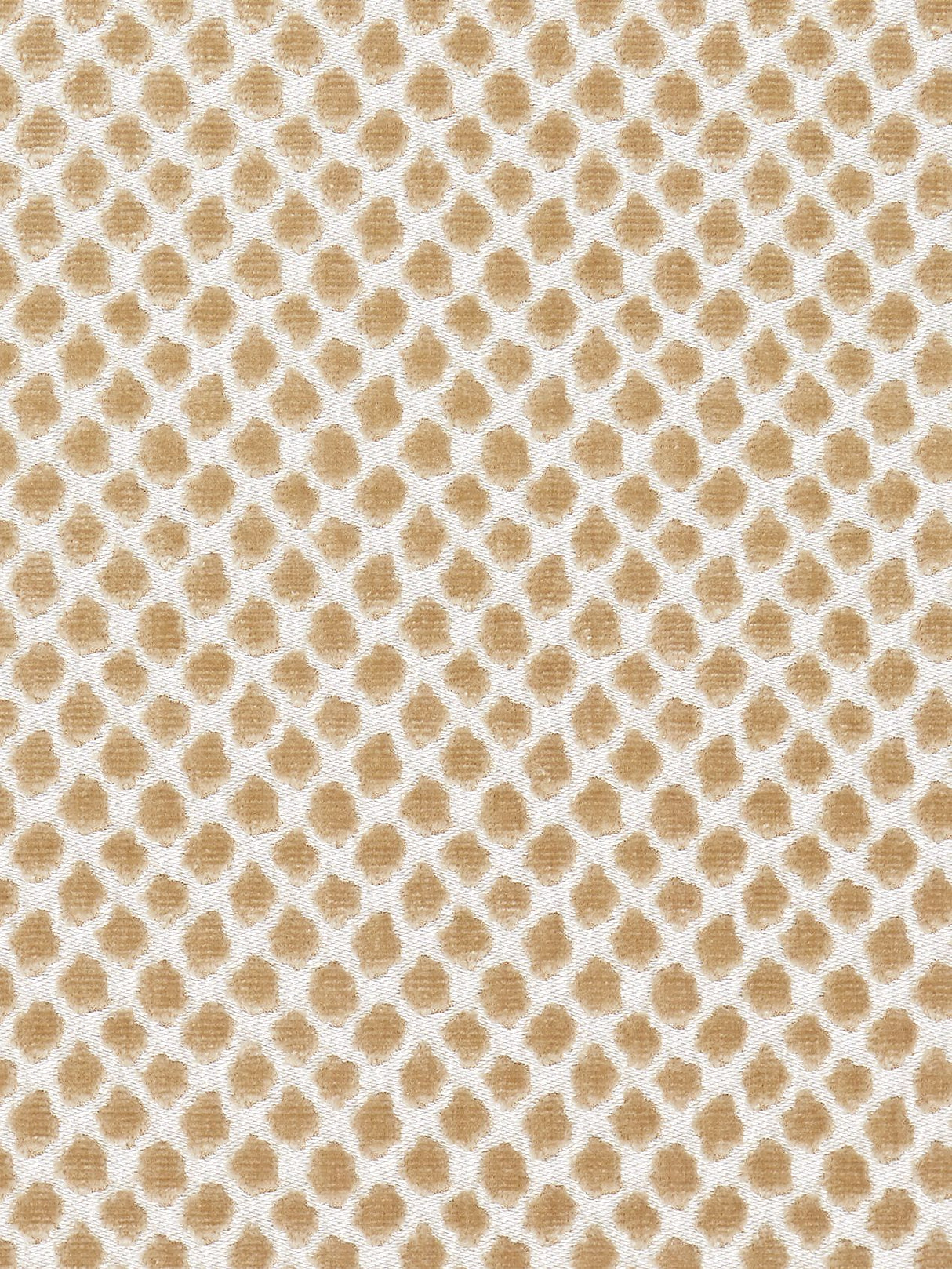 Scalamandre SC 000227022 SAND ETOSHA VELVET Fabric - Eade's Wallpaper