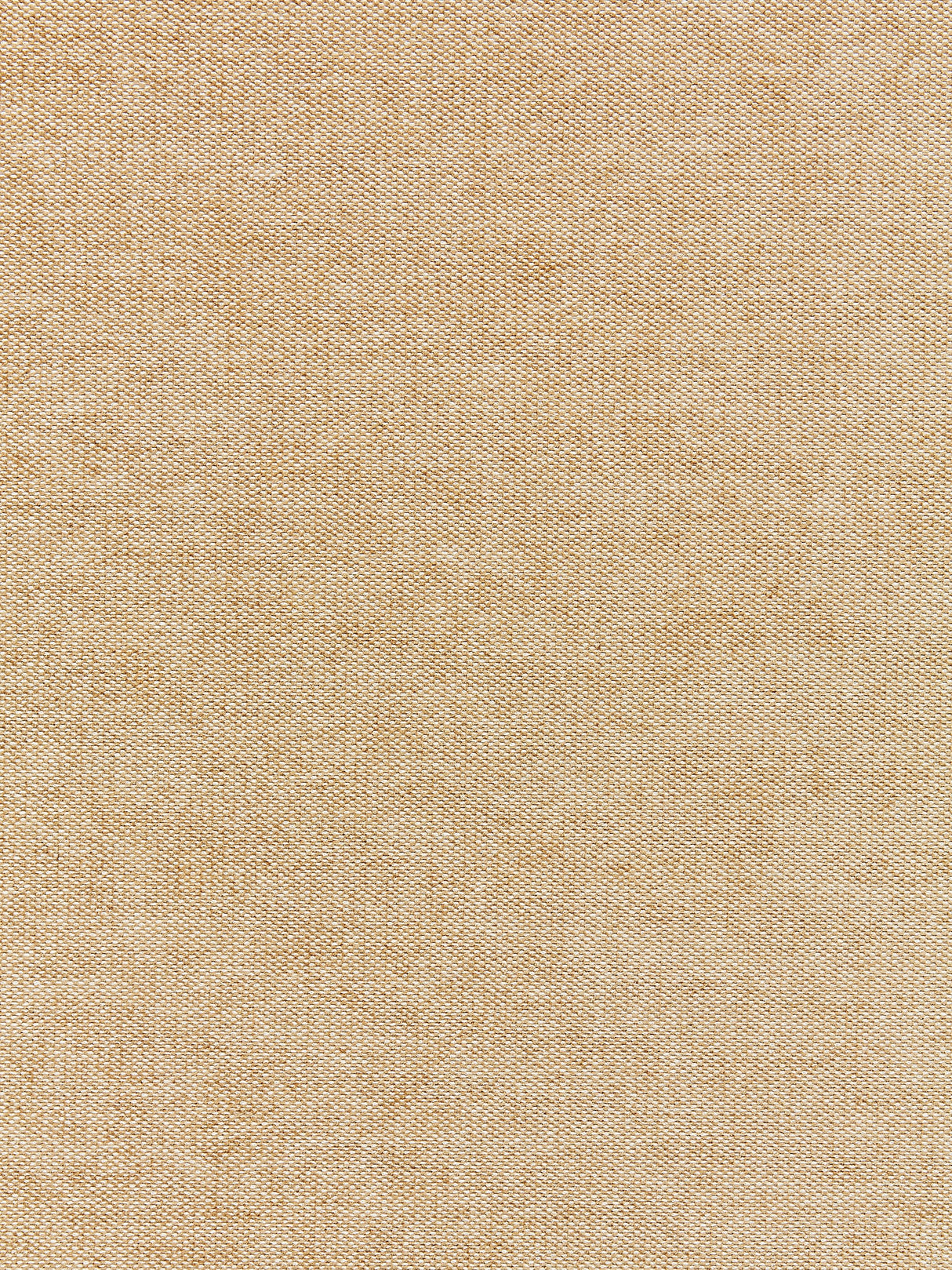 Scalamandre SC 000227147 CHAMPAGNE LUNA WEAVE Fabric - Eade's Wallpaper