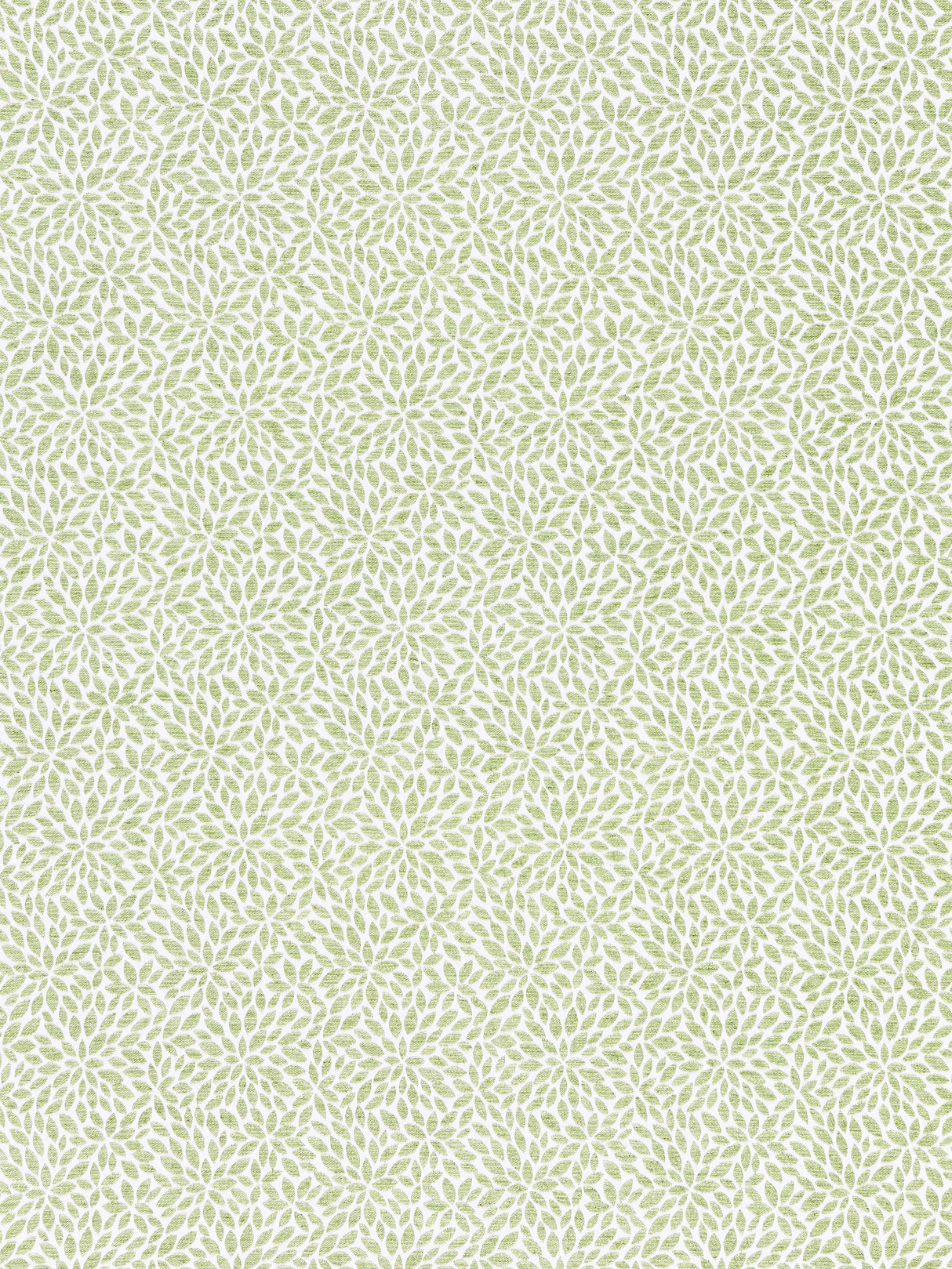 Scalamandre SC 000227239 FERN RISA WEAVE Fabric - Eade's Wallpaper