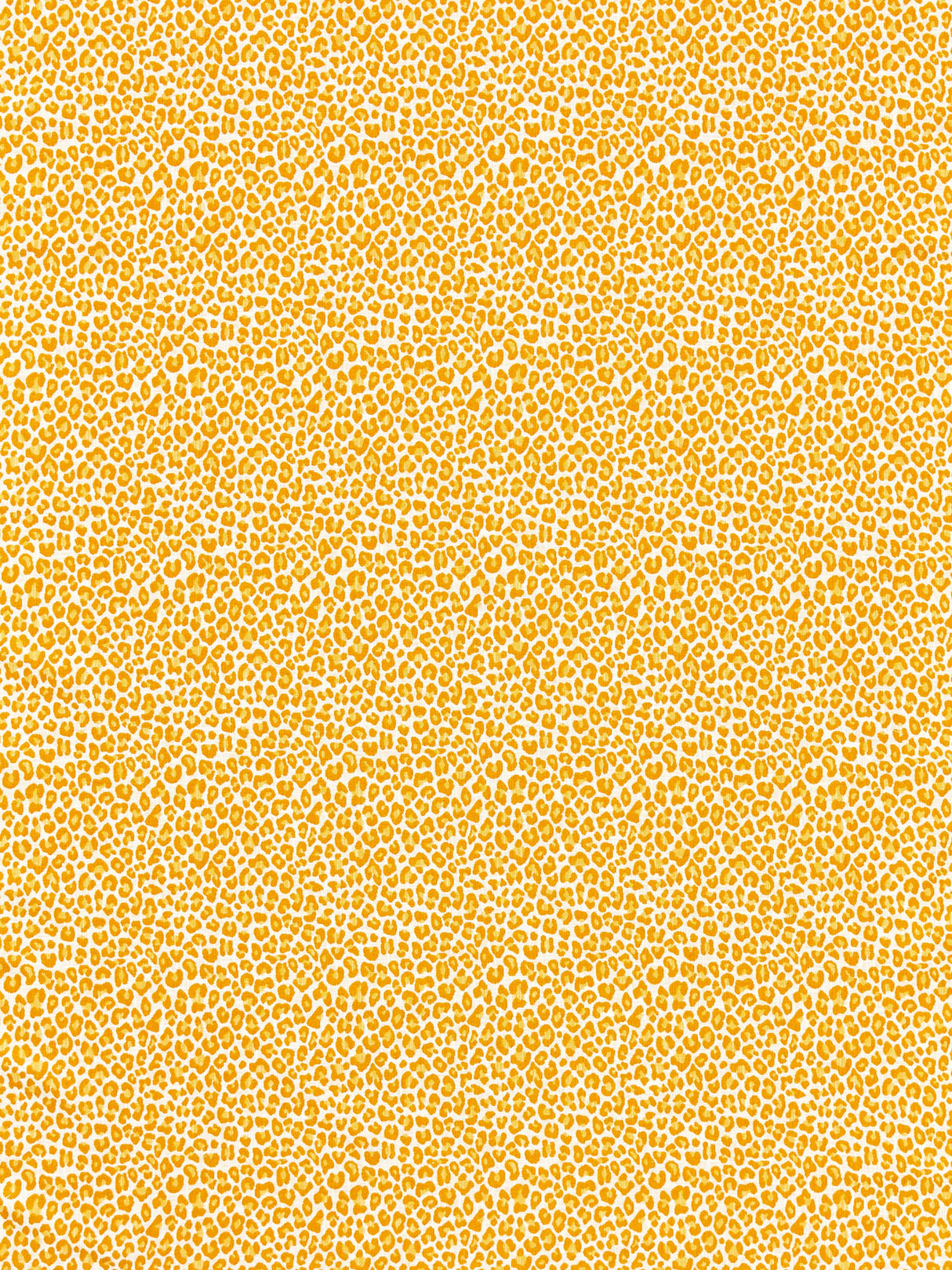 Scalamandre SC 000227316 TANGERINE BACKYARD BENGAL Fabric - Eade's Wallpaper