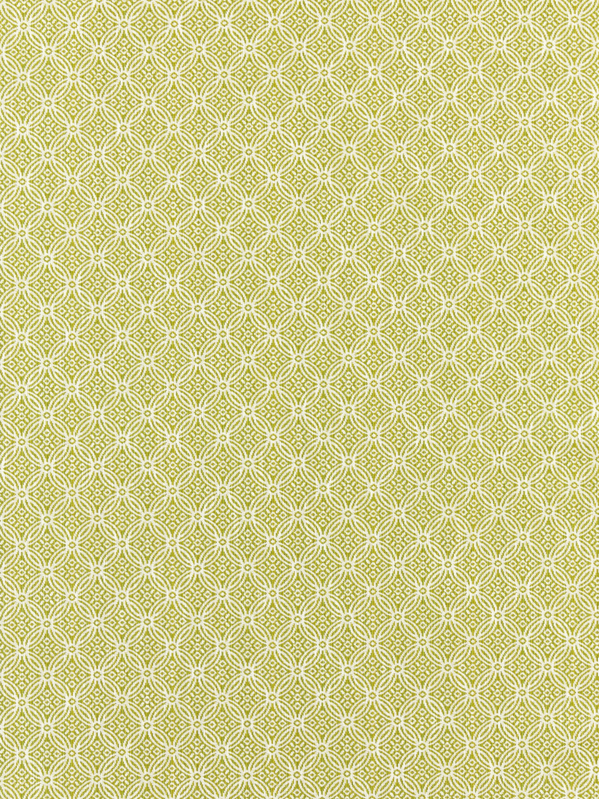 Scalamandre SC 000227317 KEY LIME CAPE MAY Fabric - Eade's Wallpaper
