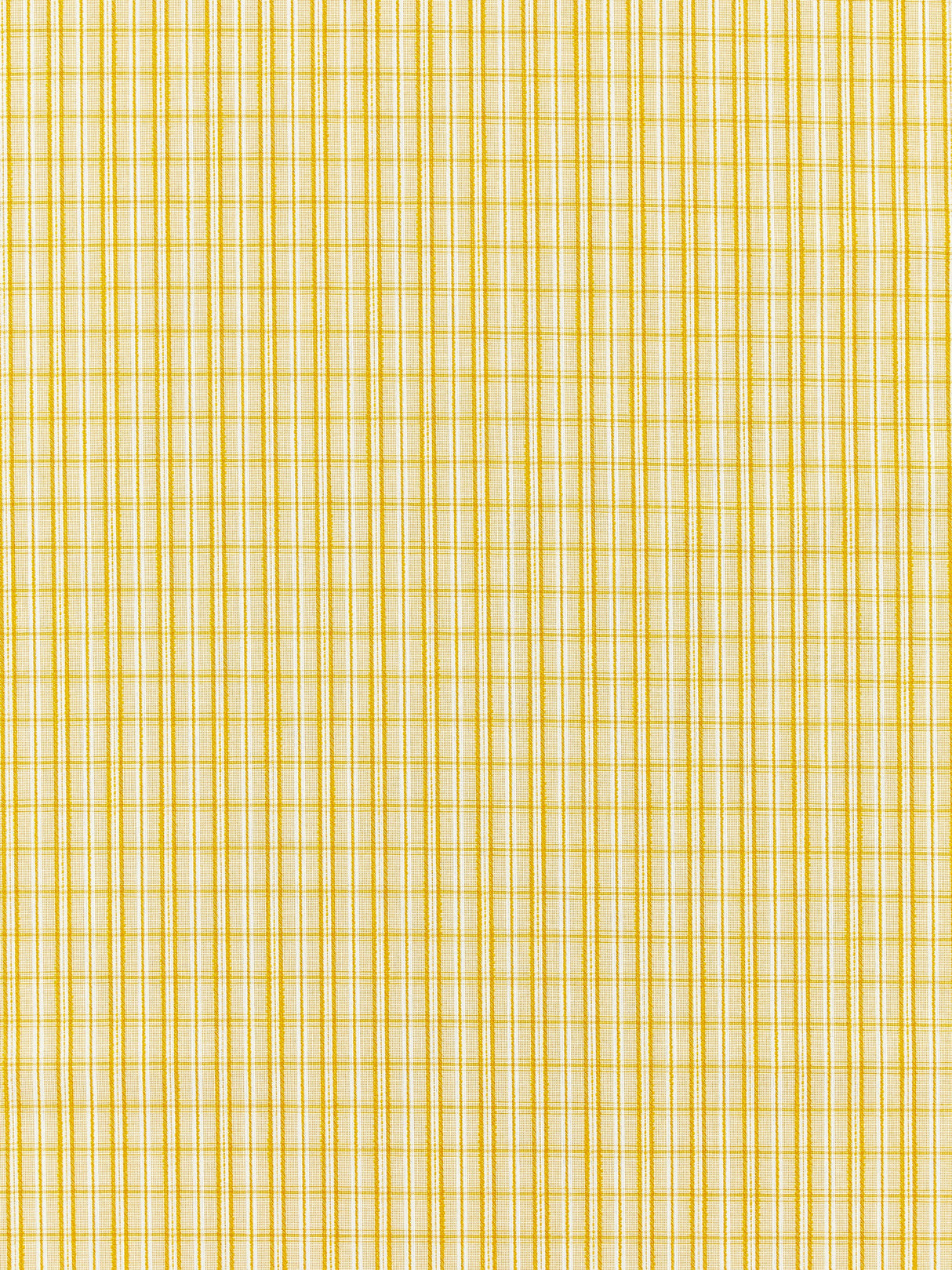Scalamandre SC 000227318 GOLDENROD CHECK PLEASE - OUTDOOR Fabric - Eade's Wallpaper