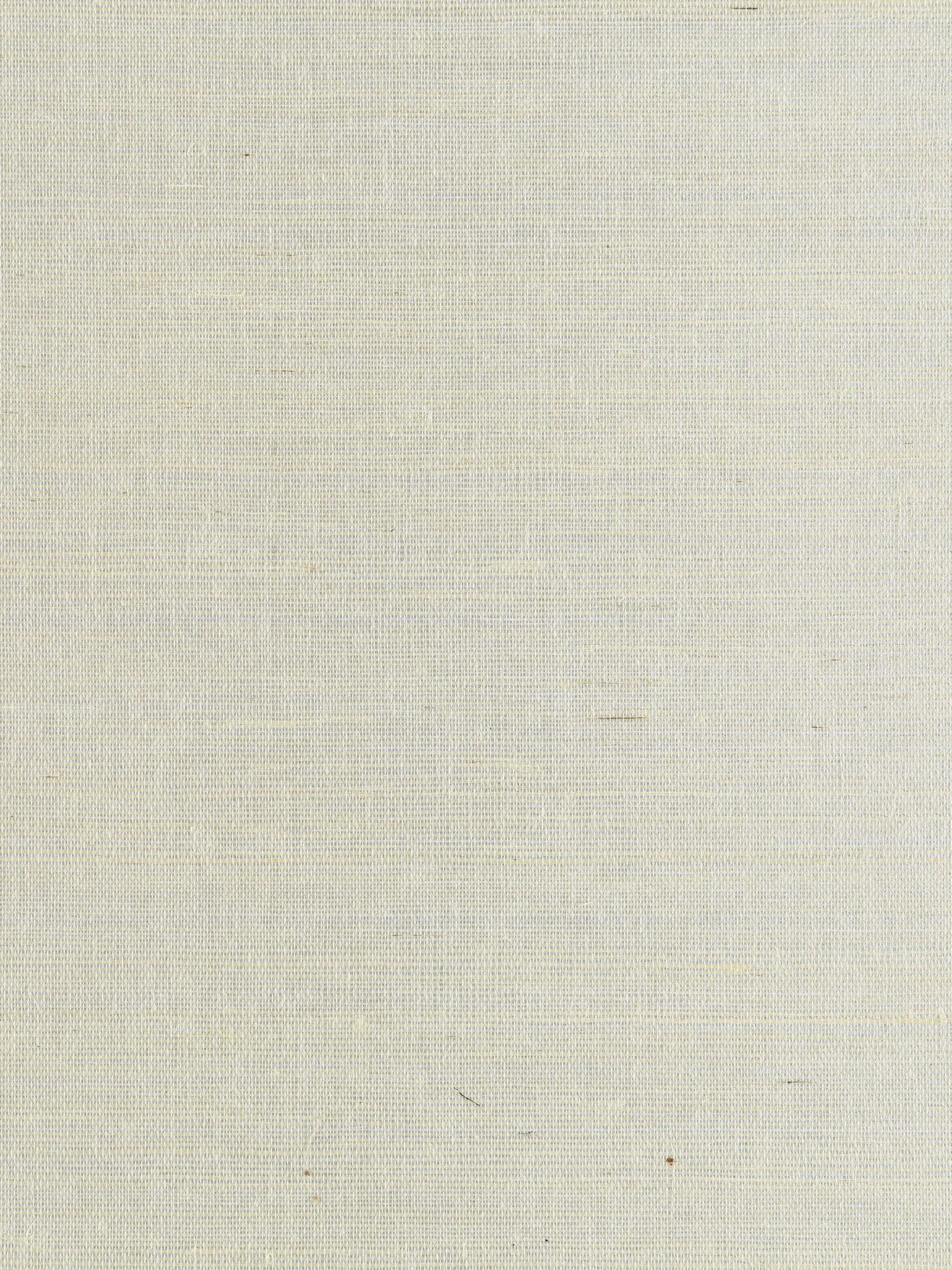 Scalamandre SC 0002WP88338 ICE METAL SISAL WALLPAPER - Eade's Wallpaper